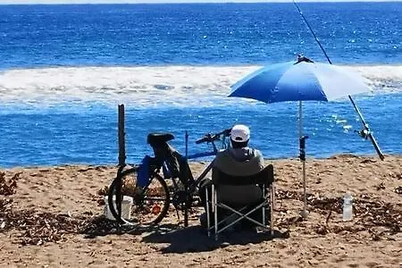 Le Palais Royal Daire